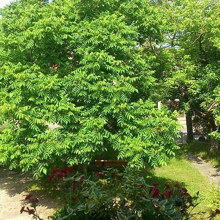 Marinas Guesthouse Kobuleti Luaran gambar